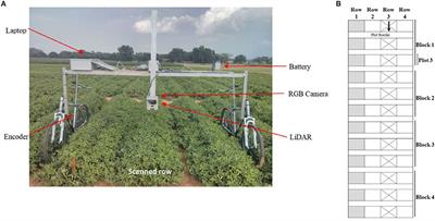 Development of a Peanut Canopy Measurement System Using a Ground-Based LiDAR Sensor